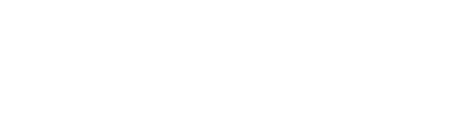 Dial Static logo white words in a bone-like font saying 'Dial Static'